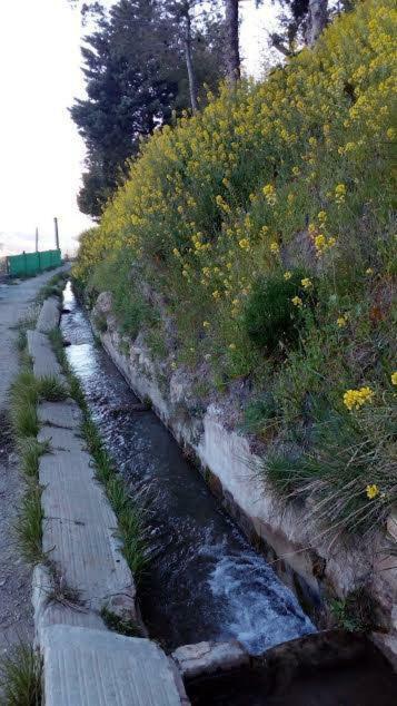 La Casa De La Acequia ξενώνας Serón Εξωτερικό φωτογραφία