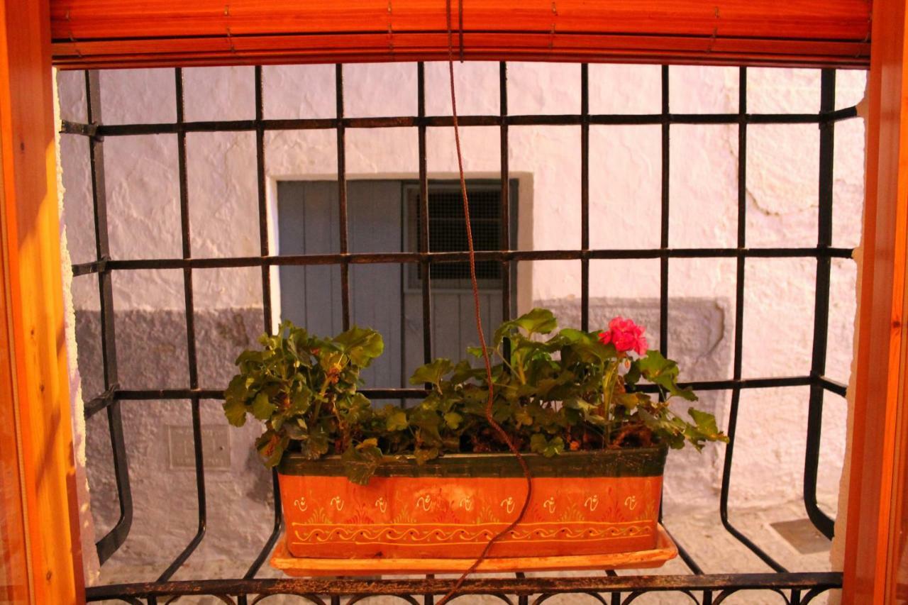 La Casa De La Acequia ξενώνας Serón Εξωτερικό φωτογραφία